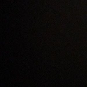 Meet your Posher, Sylvia